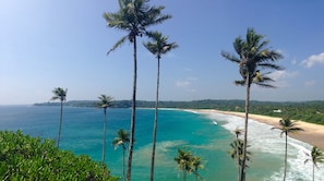 A coastal view with tall palm trees and a beach. - Seasons Four (Matara)