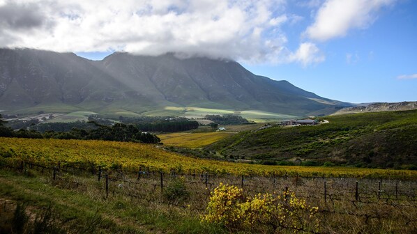 Exterior - Clouds End Farm (Hermanus)