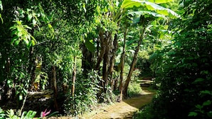 Property grounds - Thitaw Lay House B & B (Kalaw)