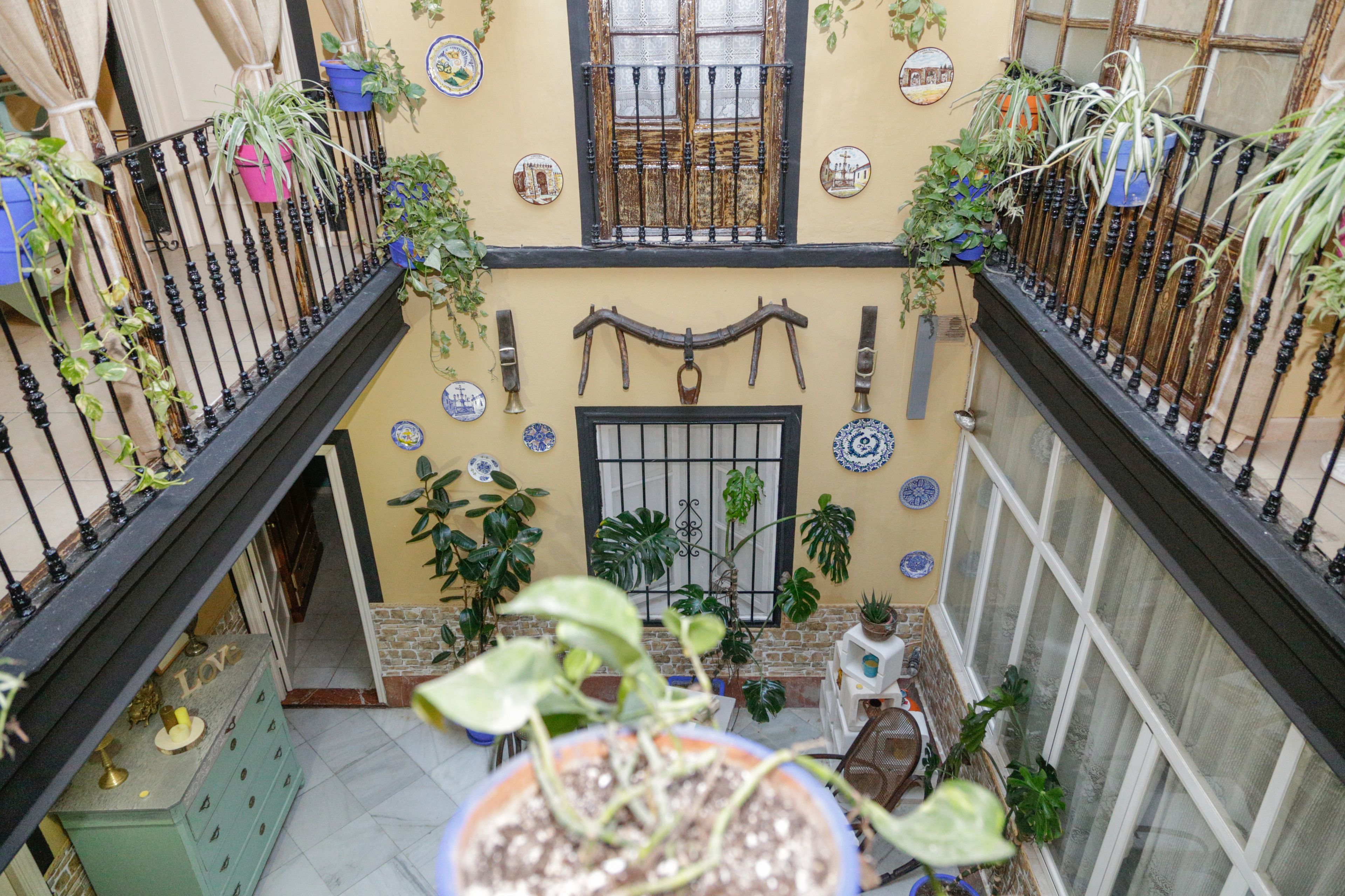 Foto - Pension Internacional