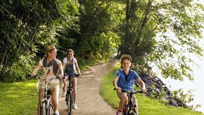 Trois personnes font du vélo sur un sentier bordé de verdure.