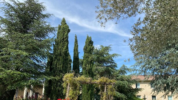 A garden with tall cypress trees, a wooden pergola, and red flowering plants. - Hôtel La Roselière (Saint-Quentin-Fallavier)