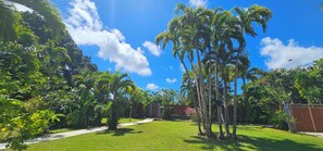 Garden - Habitation Villa Les Cassias (Petit-Bourg)