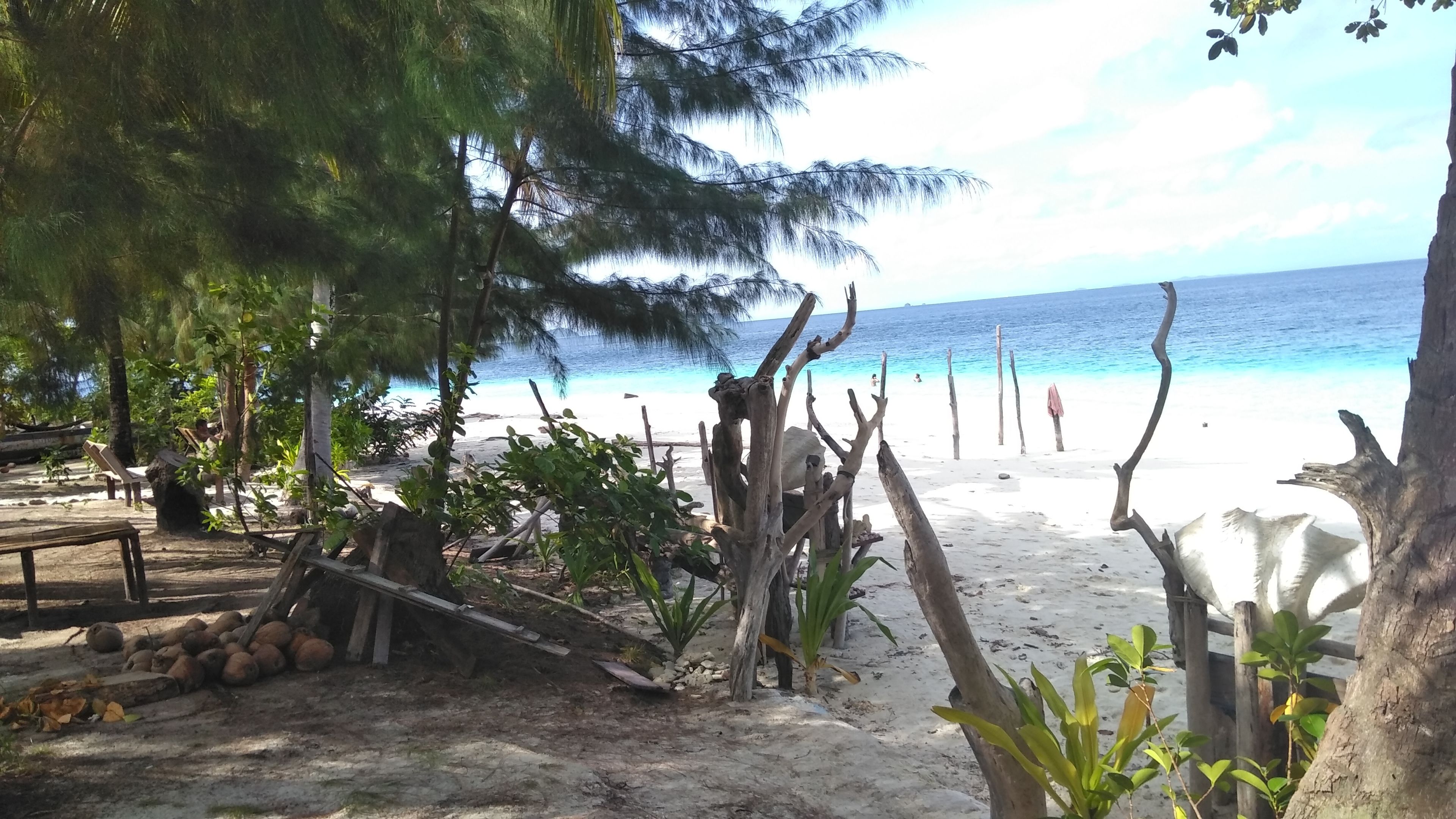 Une plage avec des structures en bois et des plantes, une zone sablonneuse et l’océan en arrière-plan.