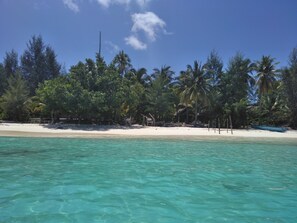 A beach with clear turquoise water, white sand, and palm trees. - Mefiyai Homestay (Pulau Fam)