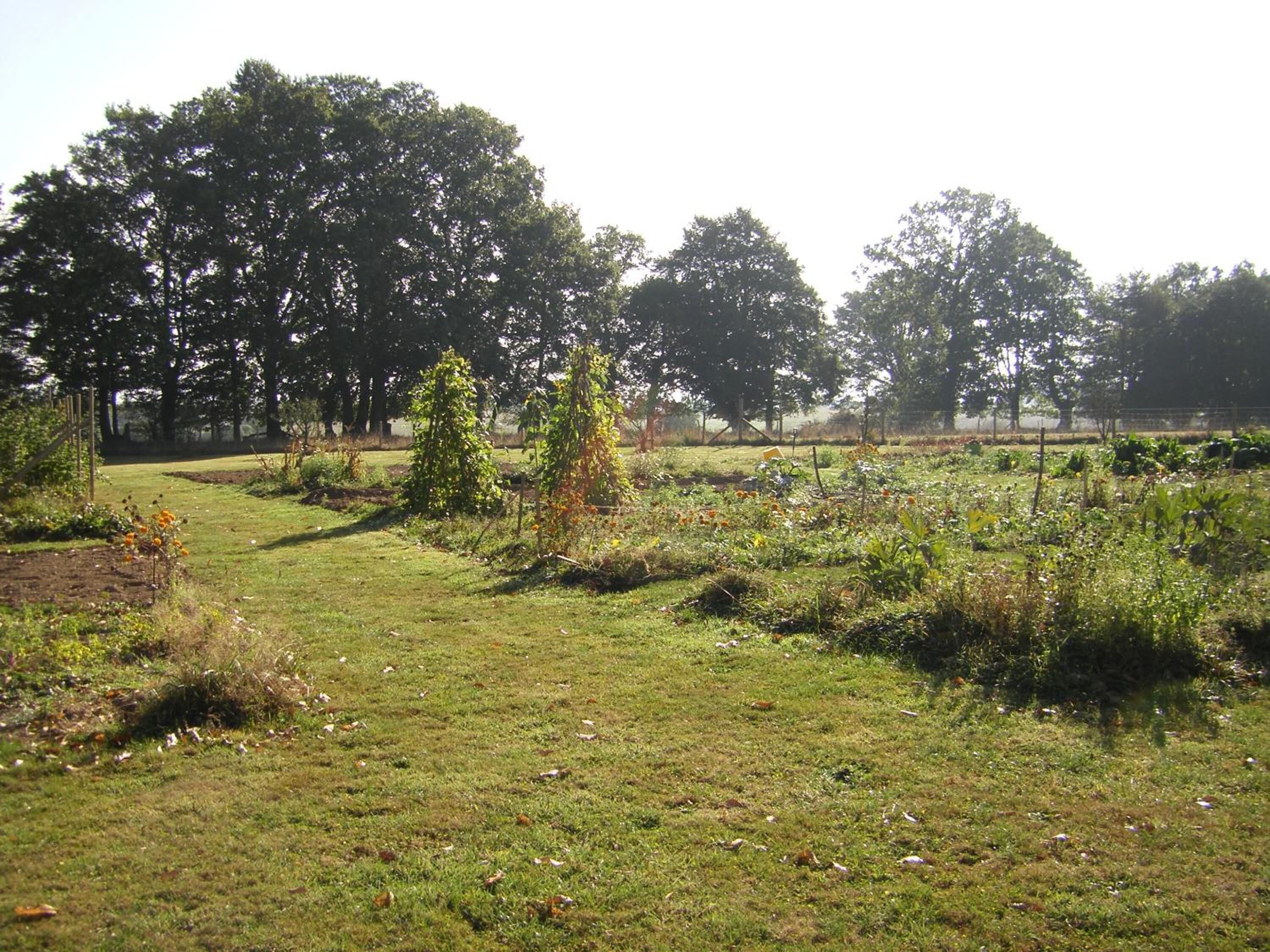 Un campo cubierto de césped con árboles y una valla al fondo.