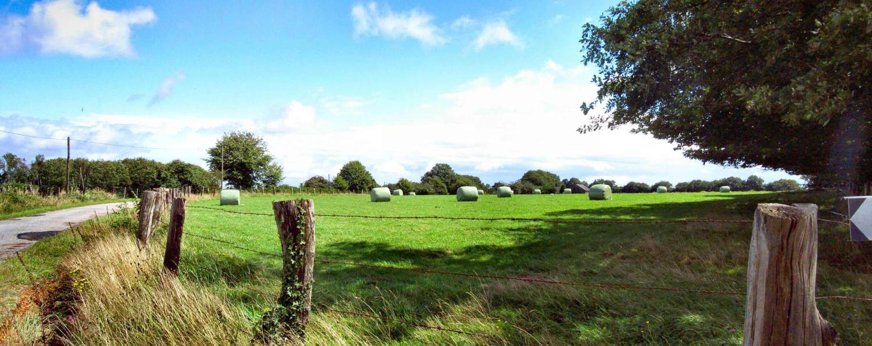 Een landelijk landschap met een weg, houten hekkenpalen en hooibalen in een veld.