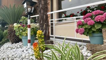 Un espacio exterior bien cuidado con diversas plantas, entre ellas una palmera, un gran ficus y varias macetas con flores rosas. Se observa una cerca blanca y un edificio con amplias ventanas al fondo.