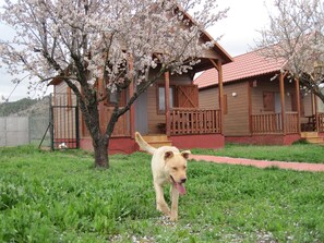 Pet-friendly - Las Casas de la Vega (Enguidanos)