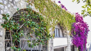 Interior entrance - Casa Marisa (Massa Lubrense)