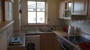Une cuisine de taille réduite équipée d’un lave-linge, d’un évier et d’une cuisinière.