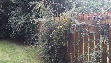 บริเวณภายนอก