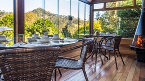 A dining area with wicker chairs and tables, large windows offering a view of a forested hillside. - Pousada Solar d'Araucária (Gonçalves)