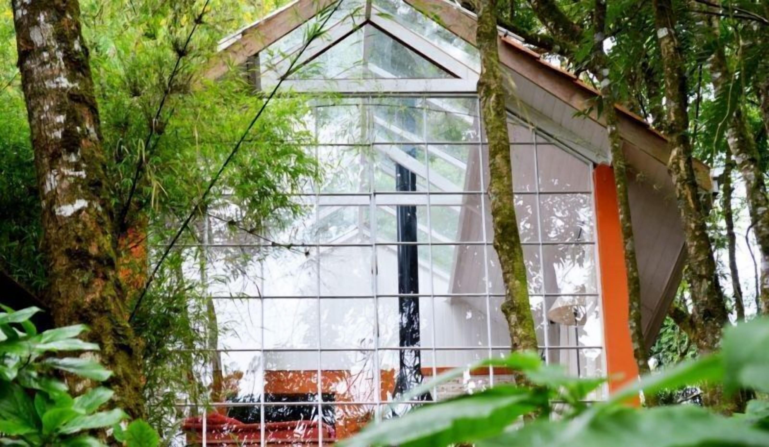 A glass-walled room with a sloped roof, surrounded by dense foliage.