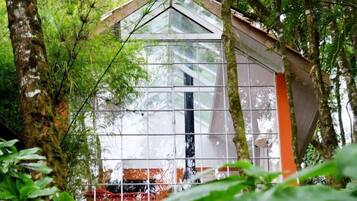 A glass-walled room with a sloped roof, surrounded by dense foliage.
