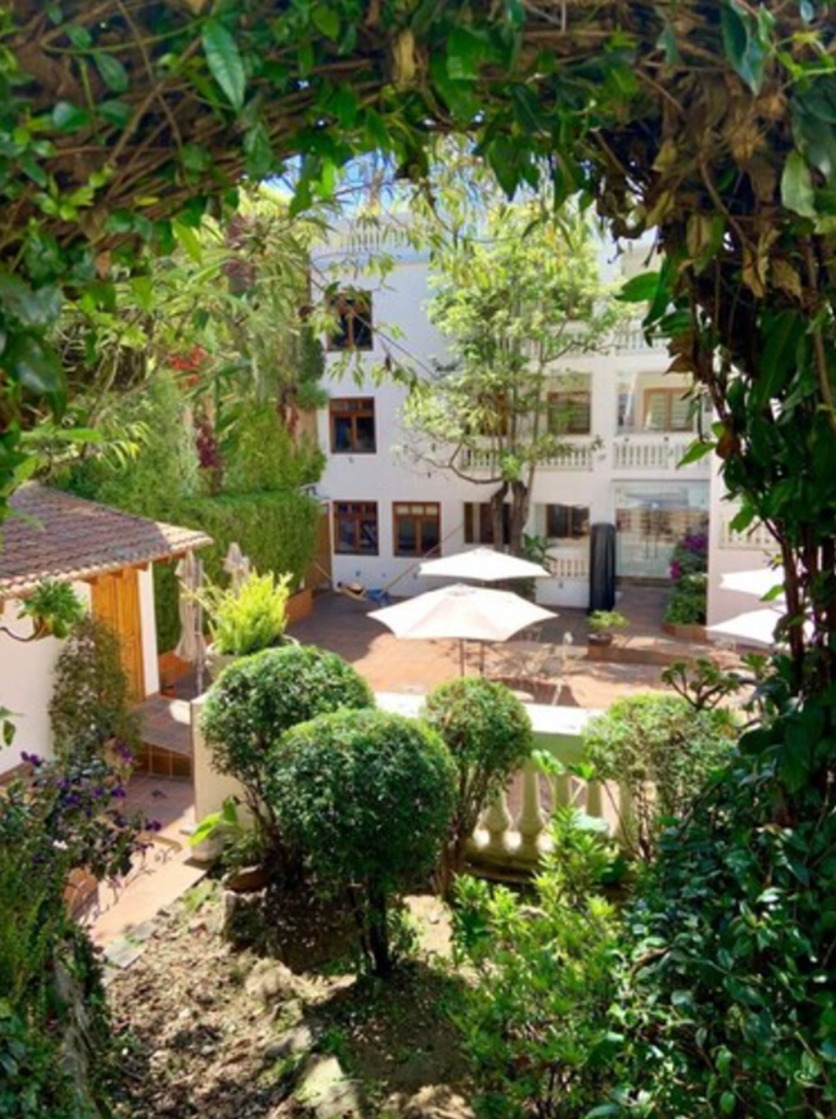 A courtyard with a white building, surrounded by lush greenery and a tiled roof structure.