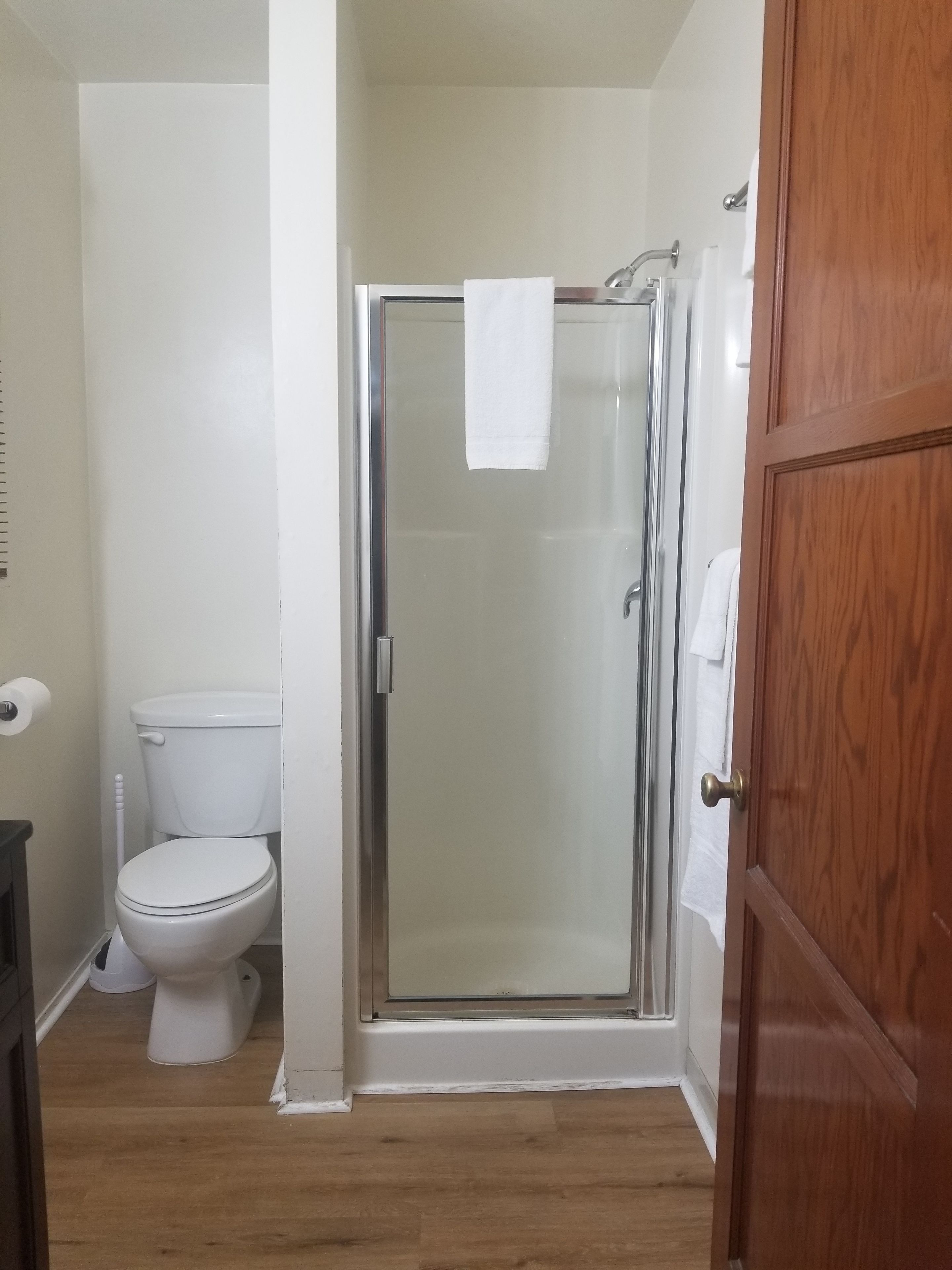 Une salle de bain avec des toilettes, une douche en verre et une porte en bois.