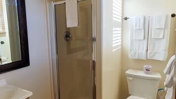 A bathroom with a glass-enclosed shower, a toilet, and a sink.
