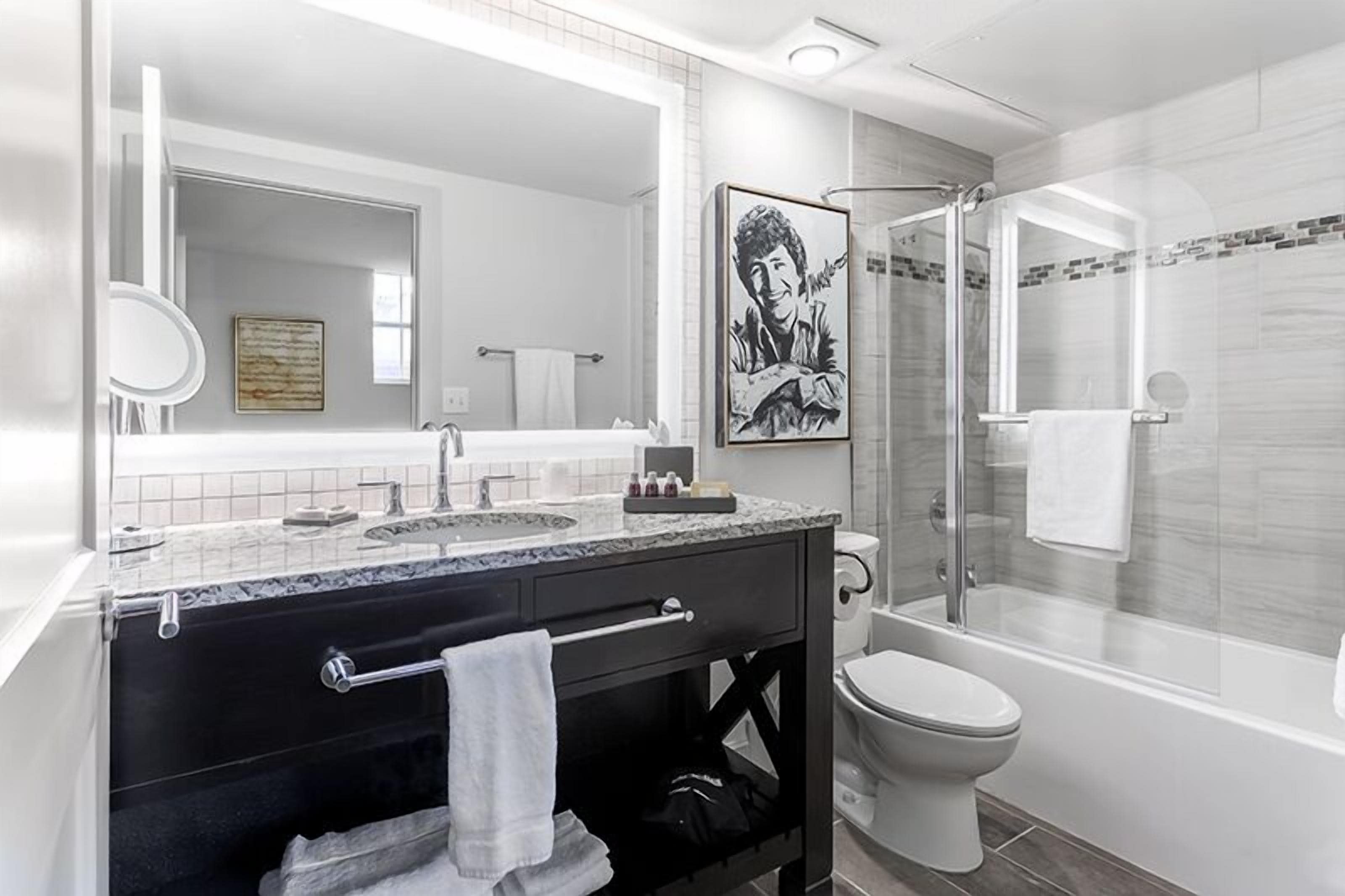 standard suite, 1 king bed with sofa bed | bathroom | shower, free toiletries, towels