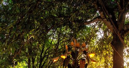 Pousada Olho D'Água