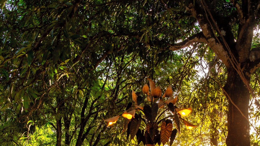 Pousada Olho D'Água