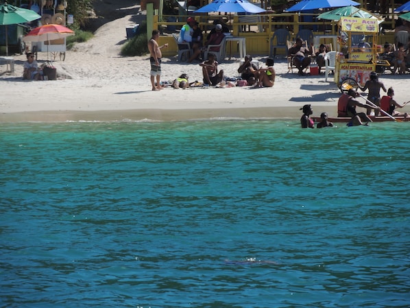 Bar de plage