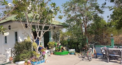 Sunny Resort