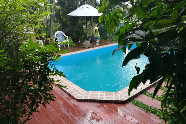 Outdoor pool, pool loungers