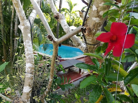 Outdoor pool, pool loungers. Saku Boutique Homestay