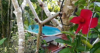 Saku Boutique Homestay