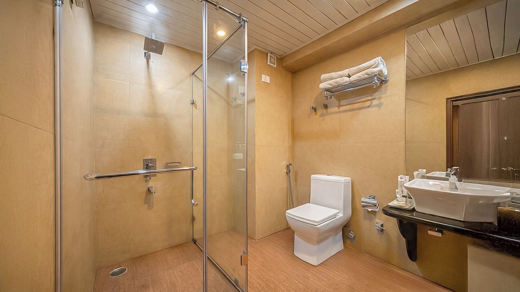 A modern bathroom with a glass shower enclosure, a toilet, and a sink with a mirror.
