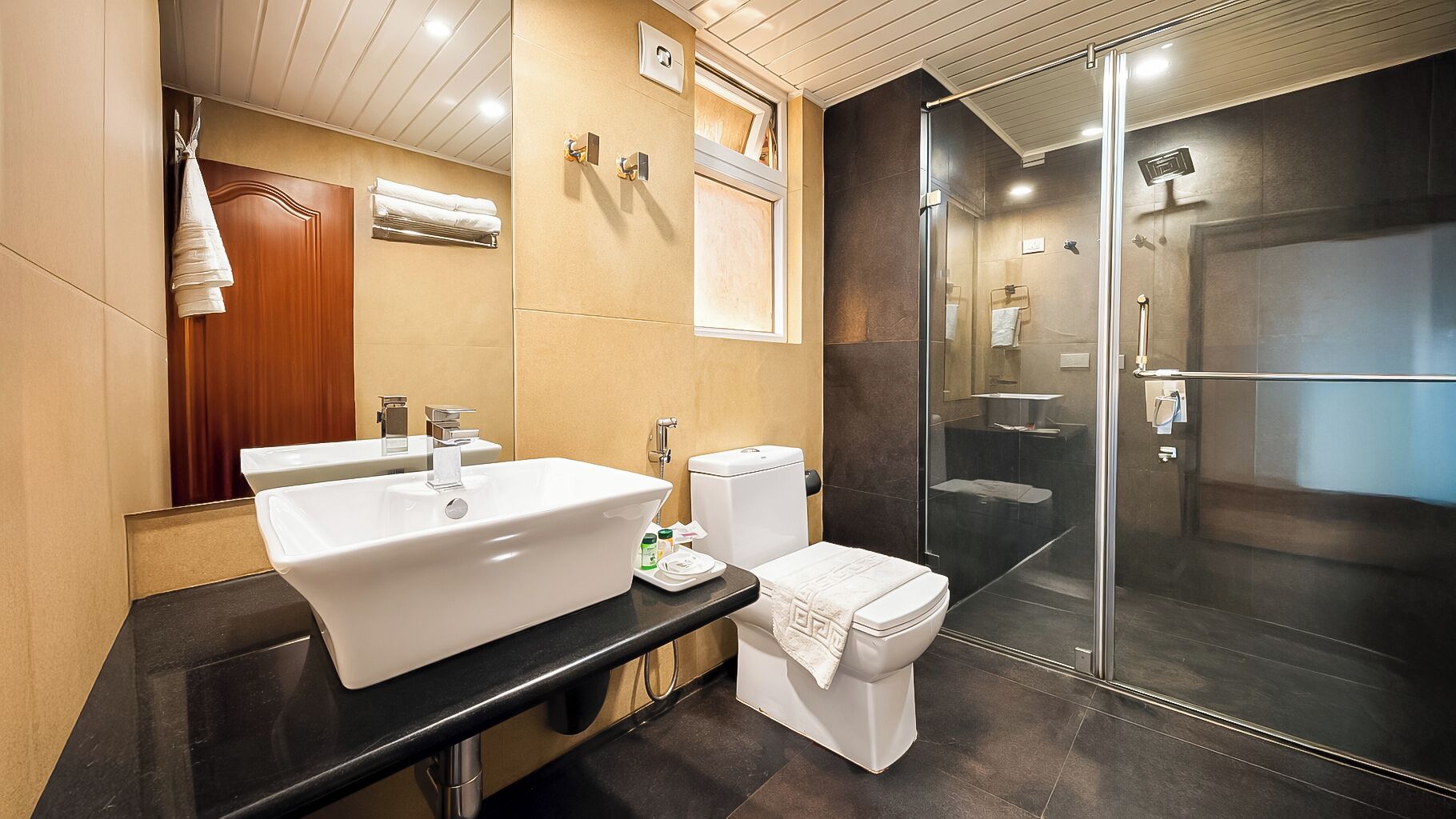 A modern bathroom with a large white sink, a toilet, and a glass-enclosed shower.