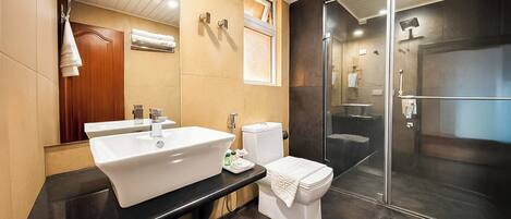 A modern bathroom with a large white sink, a toilet, and a glass-enclosed shower.