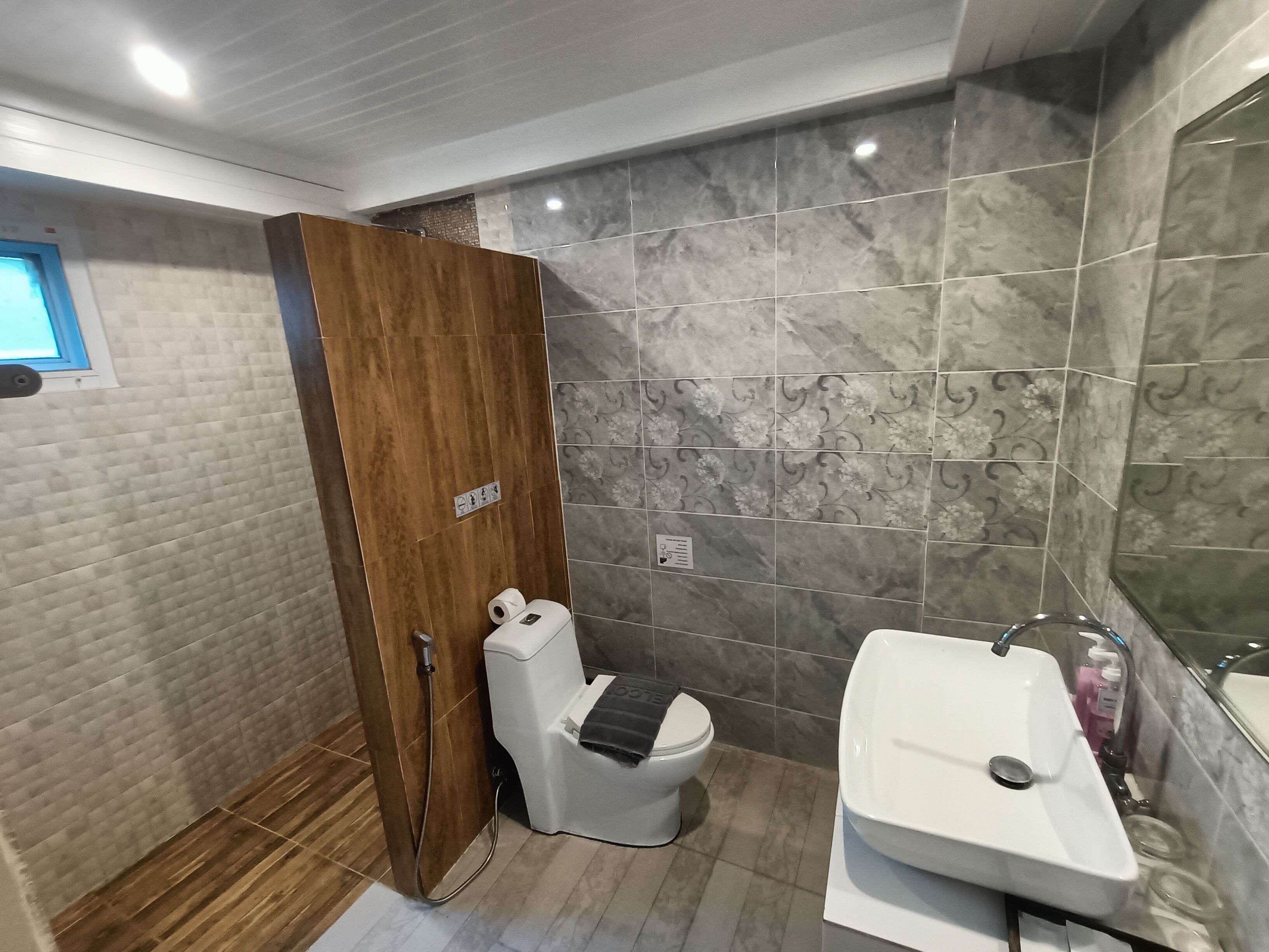 A modern bathroom with a wooden door, a toilet, and a sink.