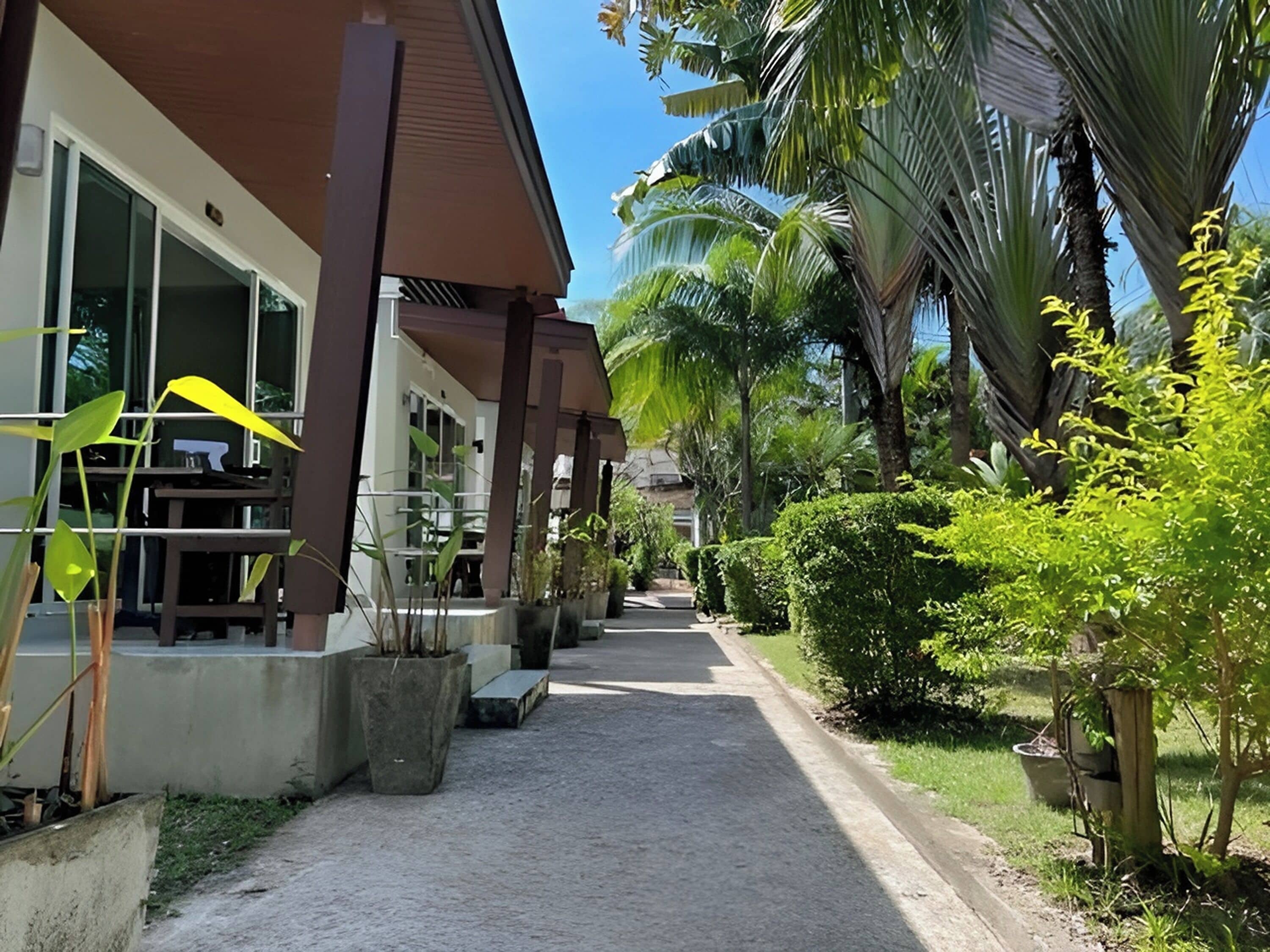 A pathway leading to a building with a covered outdoor seating area, surrounded by lush greenery and palm trees.