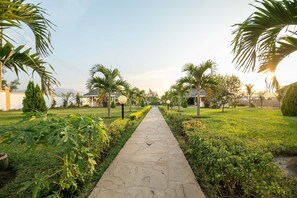 A stone pathway flanked by greenery and palm trees, leading to a building with a white facade.