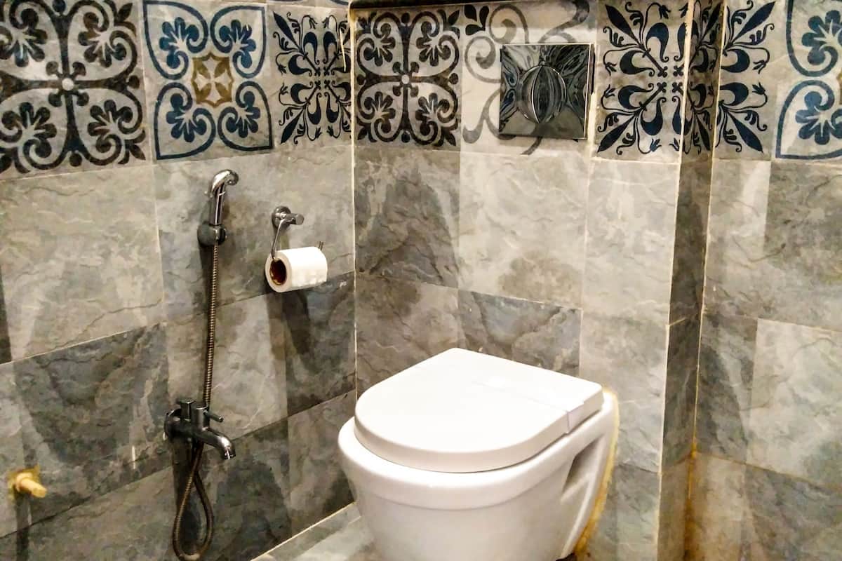 kailash suite (river view) | bathroom | shower, free toiletries, towels