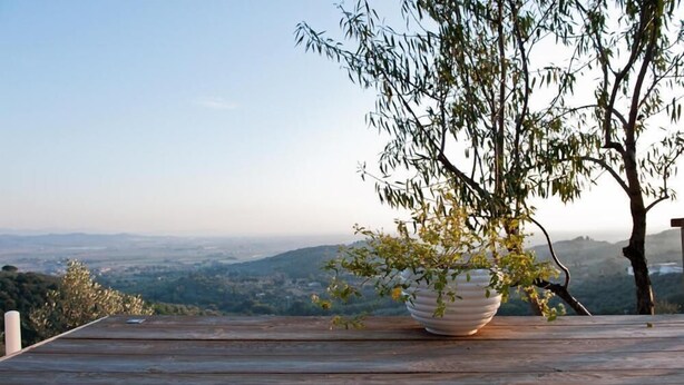 A wooden deck with a potted plant and a view of a valley. - SestoSenso Suites (Campiglia Marittima)