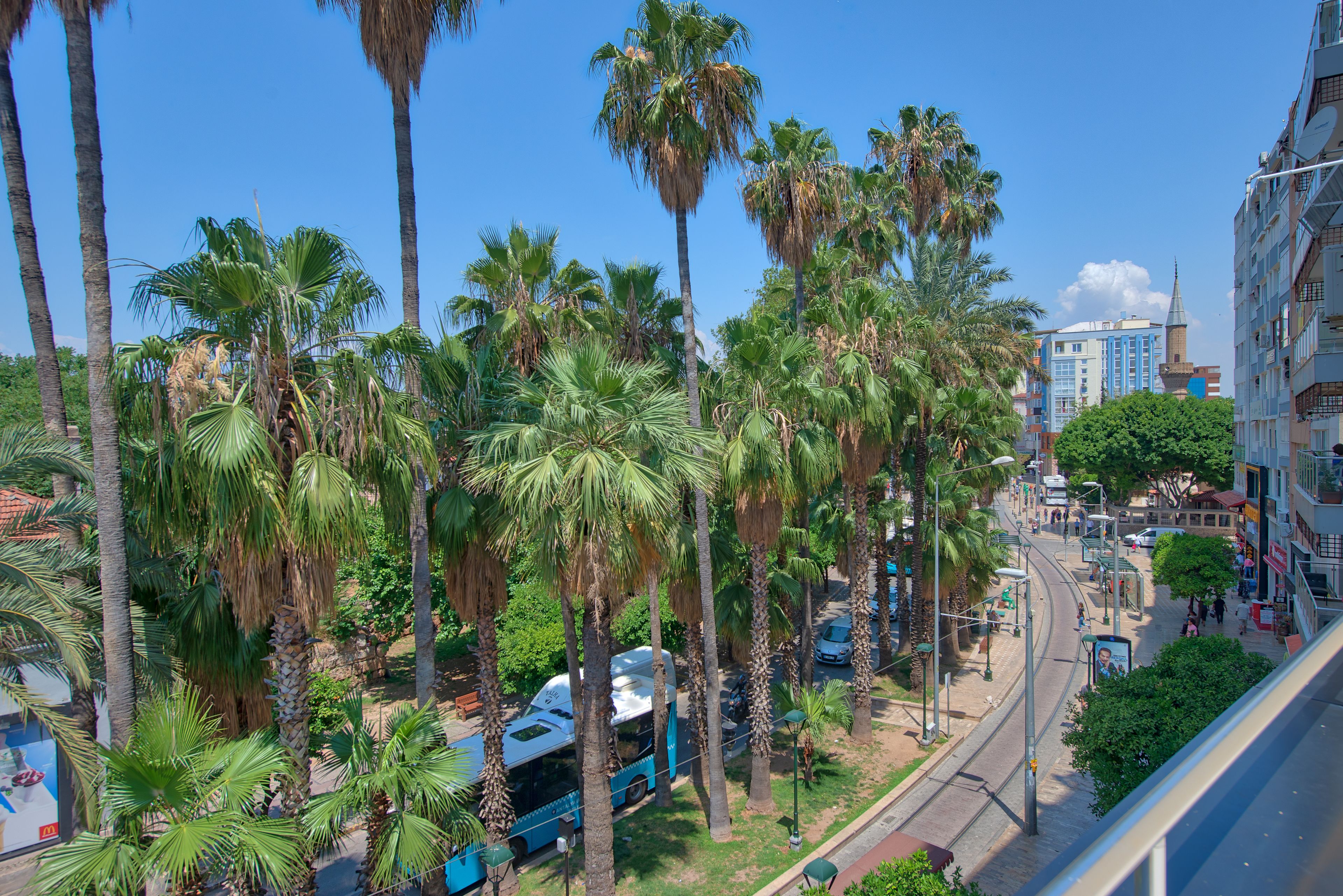 Un paisaje urbano con altas palmeras, un autobús azul y edificios al fondo.