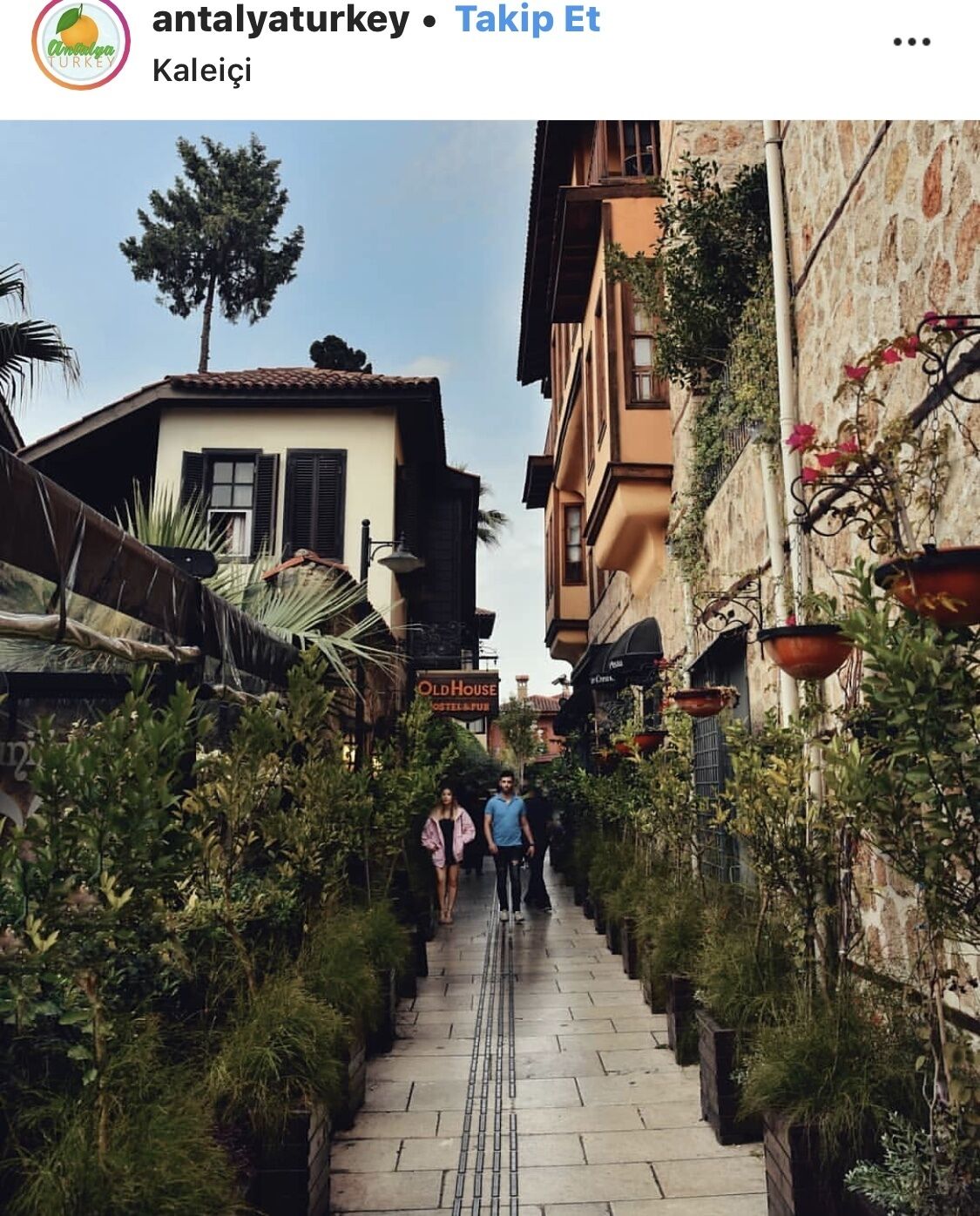 A narrow street with buildings on either side, a sign for 'Old House Hostel & Pub', and a tree in the center.