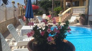 Zona de piscina con sillones de descanso y una maceta con flores rosadas.