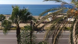 Vista de la playa con palmeras y un cielo azul despejado.