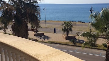 Vista desde la propiedad