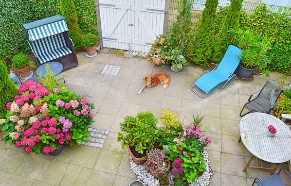 A patio with a dog lying on the ground, surrounded by potted plants and outdoor furniture.