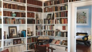 Bibliotek