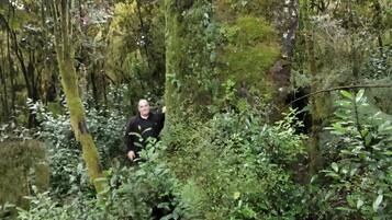 Una persona en un área boscosa con vegetación densa y árboles.