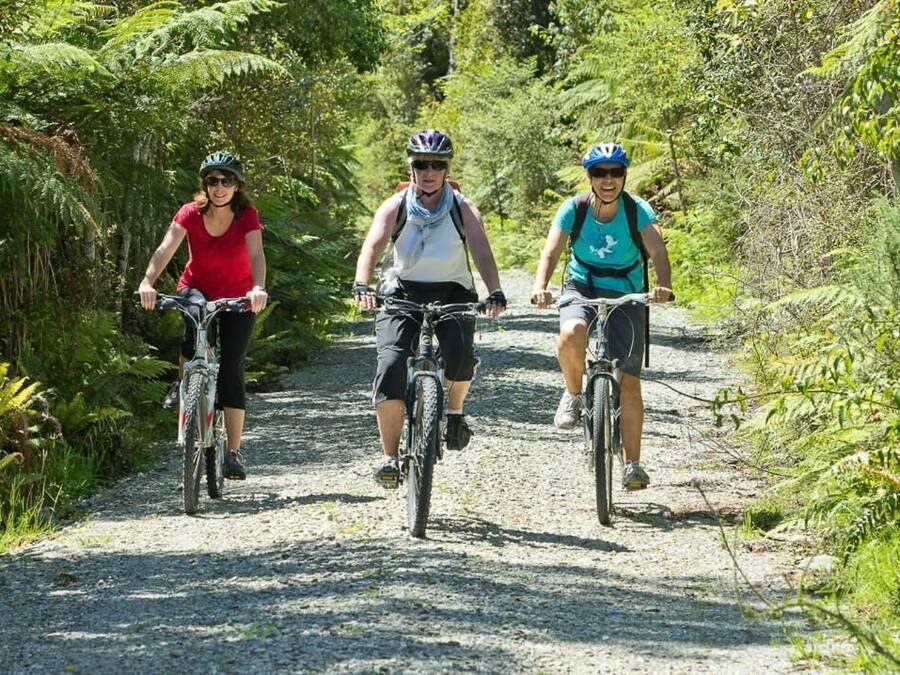 Three people riding bicycles on a gravel path surrounded by greenery.
