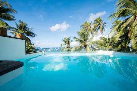 A clear blue pool with palm trees and a view of the ocean.
