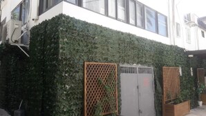 A building with a white facade, large windows, and a green ivy-covered wall. There are two wooden planters with plants in front of the building. - German Colony Guest House (Haifa)