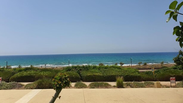 A coastal view with a clear sky, a sandy beach, and dense greenery in the foreground. - German Colony Guest House (Haifa)